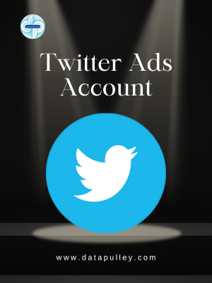 Buy Twitter Ads account